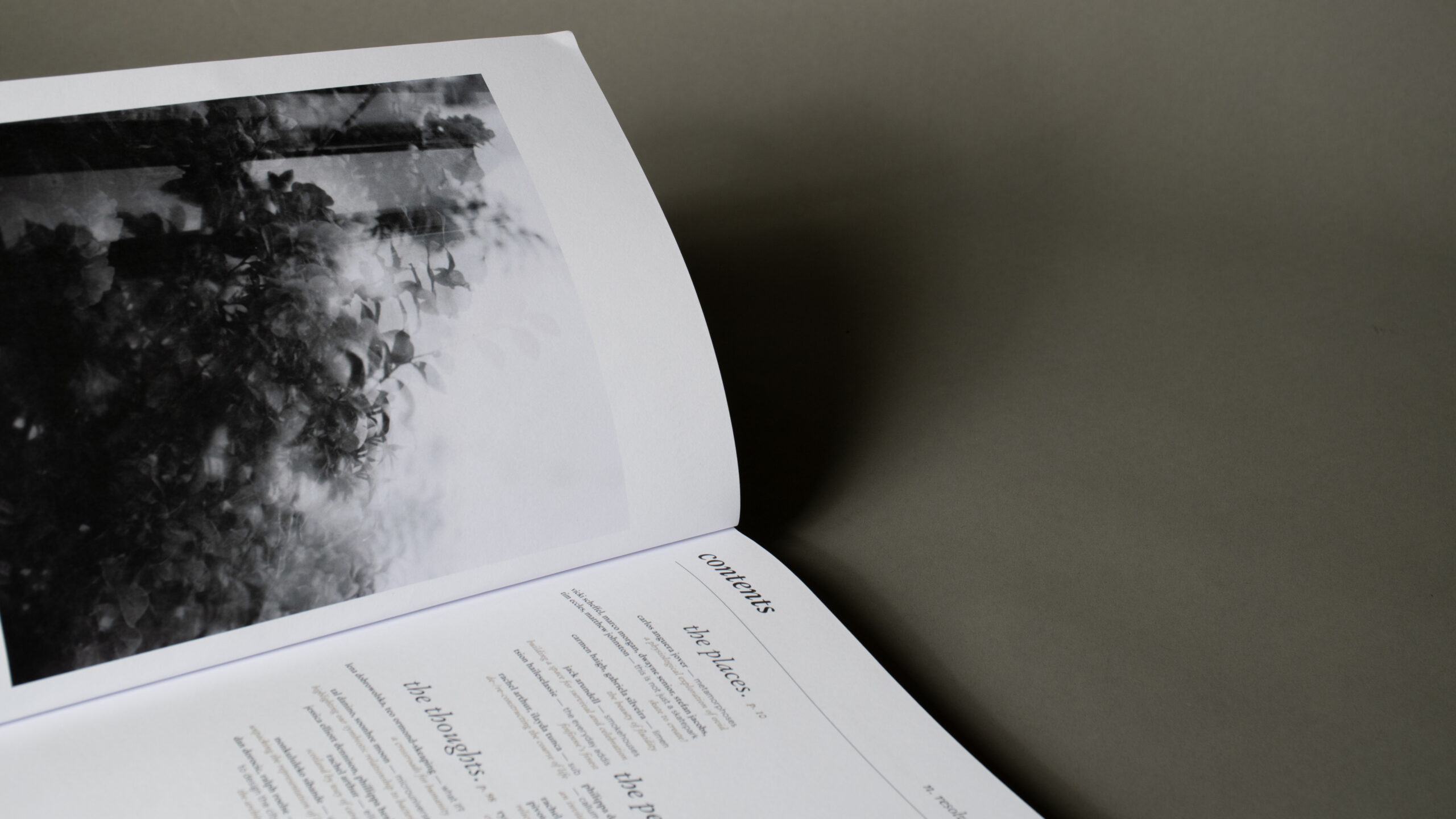 Boom Saloon, Issue 005: Resolve